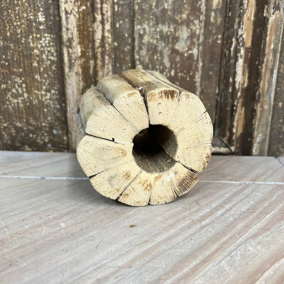 Cactus Riser - Picture 3 of 10